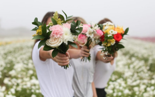 58 Citations sur le lien entre les fleurs et l’amitié