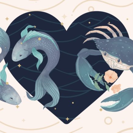 Pourquoi les femmes de signe Poisson sont attirées par les hommes de signe Cancer ?