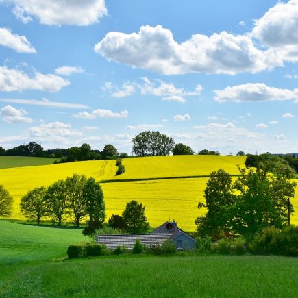 que faire avec la famille pendant le printemps pour le sport?