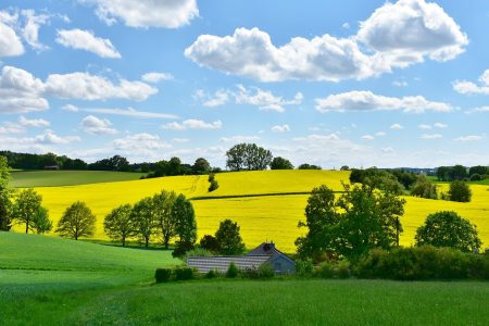 que faire avec la famille pendant le printemps pour le sport?