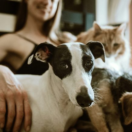 Cadeau d’anniversaire original pour amoureux des animaux : la mode des objets personnalisés ?  