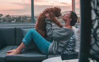Tendance 2025 : ces cadeaux qui font craquer les amoureux des animaux