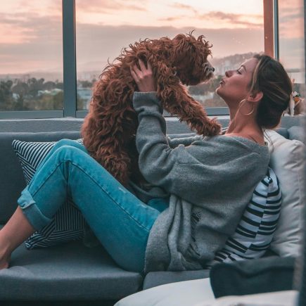 Tendance 2025 : ces cadeaux qui font craquer les amoureux des animaux