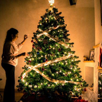 55 Citations inspirantes sur le sapin de Noël pour illuminer vos fêtes 2025