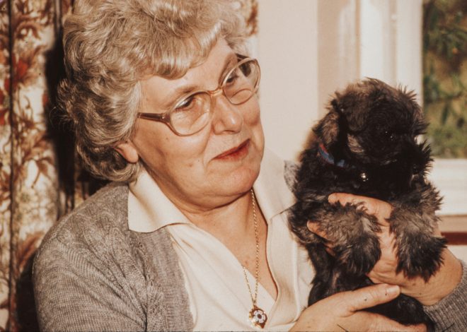 L’Histoire Fascinante de la Fête des Grands-Mères : D’un Coup Marketing à une Tradition Nationale