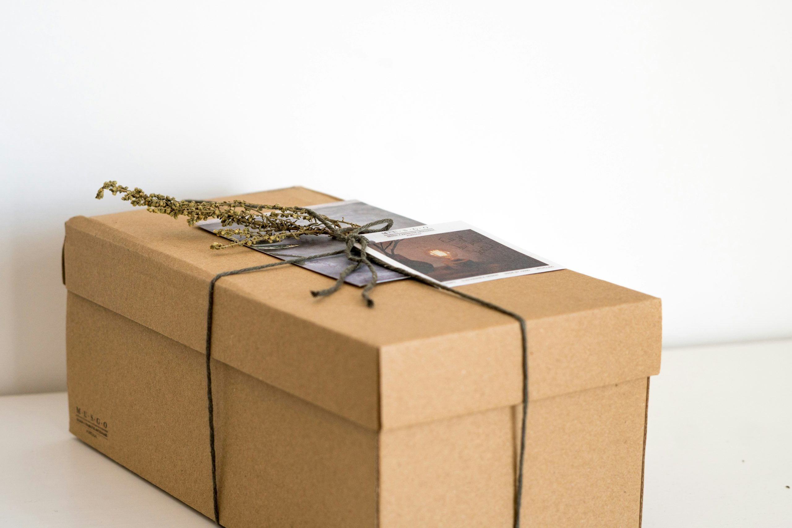 Deux boîtes cadeaux illustrant l'eau pour les Poissons et le feu pour le Bélier