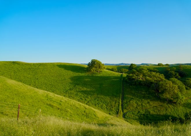 10 Meilleures Activités en Plein Air pour Profiter du Printemps 2026