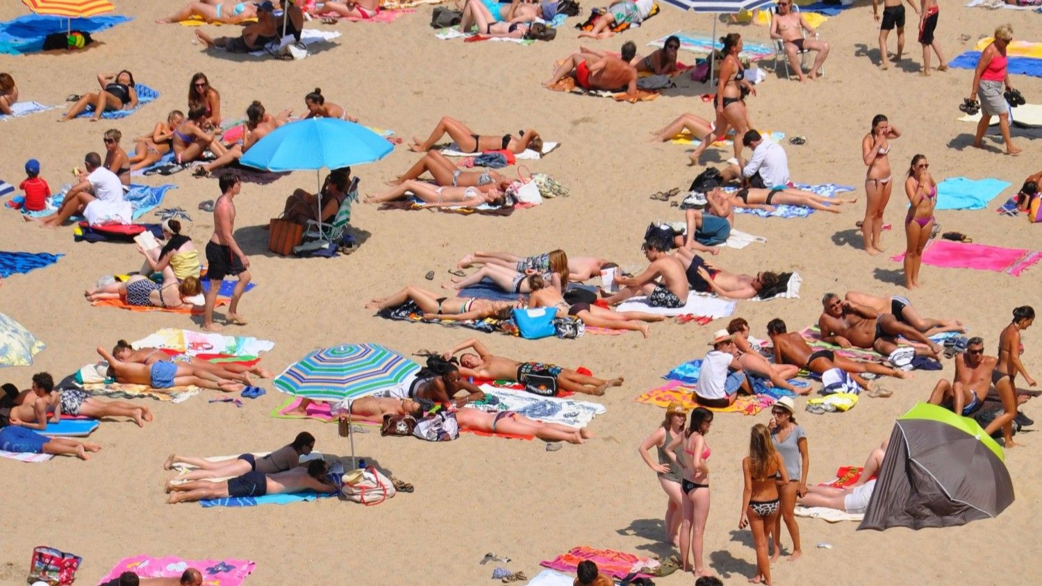 Serviette de plage : comment faire le bon choix facilement ?