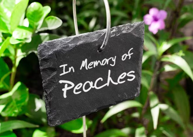 Plaque de jardin personnalisée en ardoise : une décoration unique