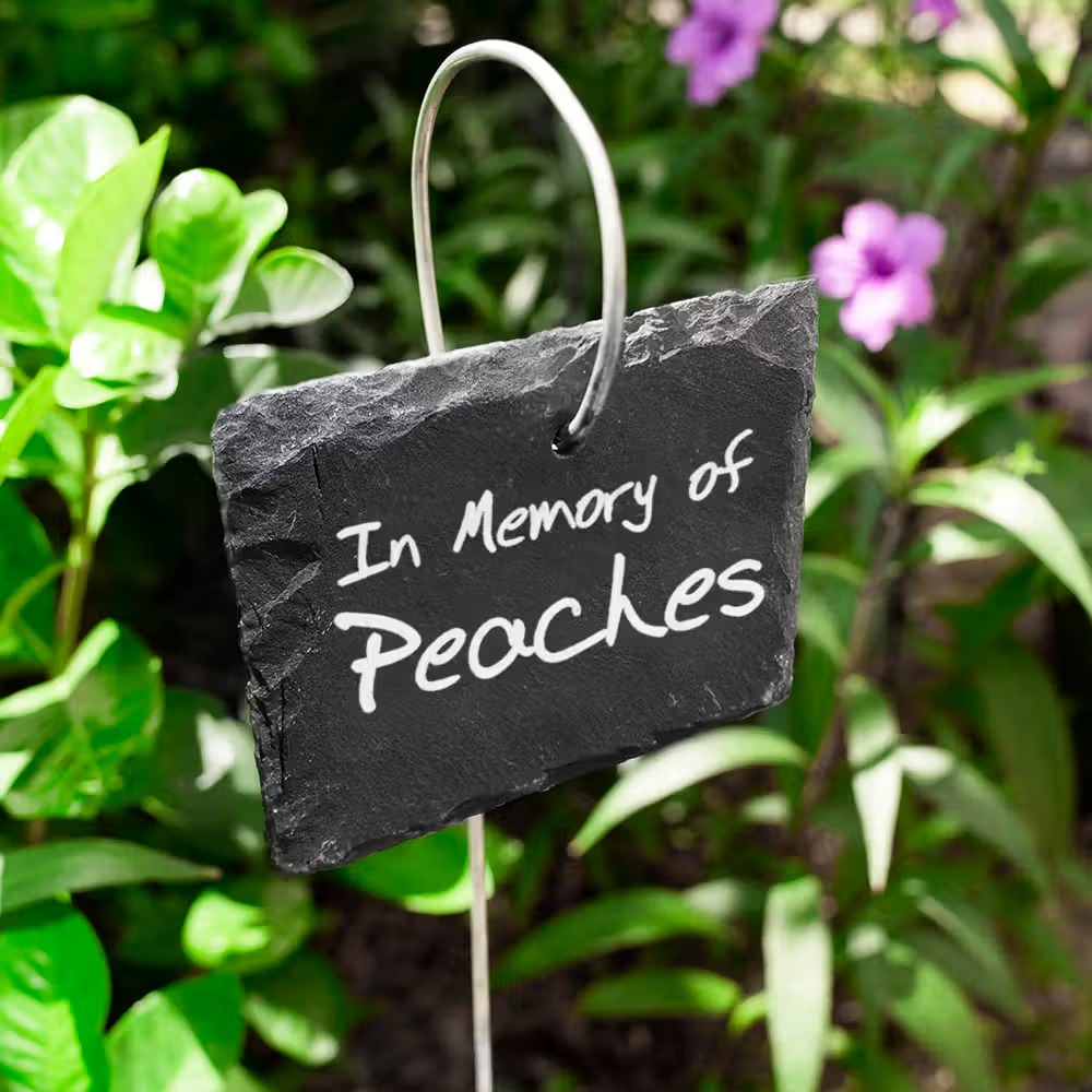 Plaque de jardin personnalisée en ardoise : une décoration unique