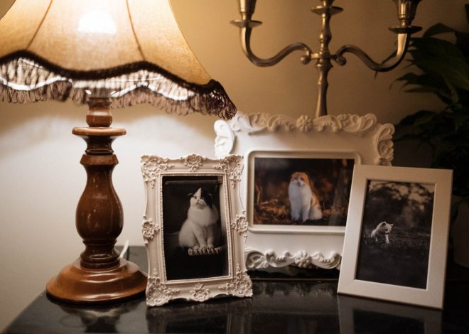 Comment créer un cadre photo personnalisé pour votre chien ? 8 idées pour mettre ses souvenirs en valeur