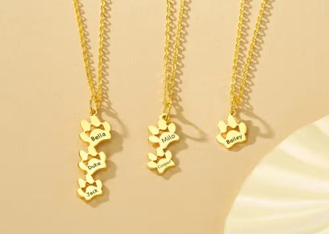 Quel cadeau offrir à un amoureux des animaux ? Un collier personnalisé avec empreintes de pattes