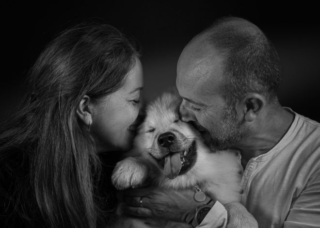 Comment honorer la mémoire de son animal ? Les plus beaux cadeaux souvenirs personnalisés
