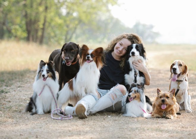 Journée mondiale du chien 2026 : origine, date et 7 idées uniques pour le fêter