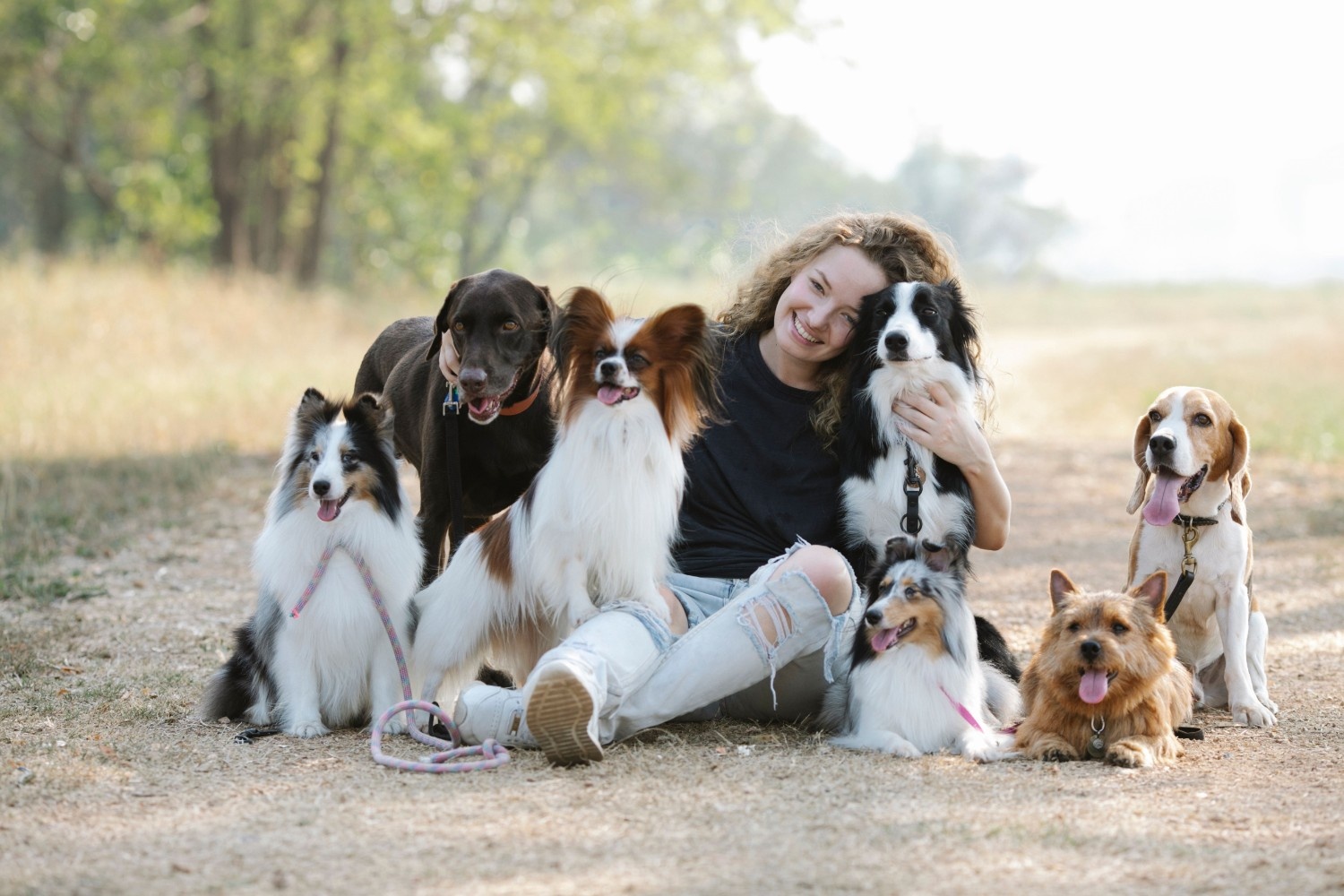 Journée mondiale du chien 2026 : origine, date et 7 idées uniques pour le fêter