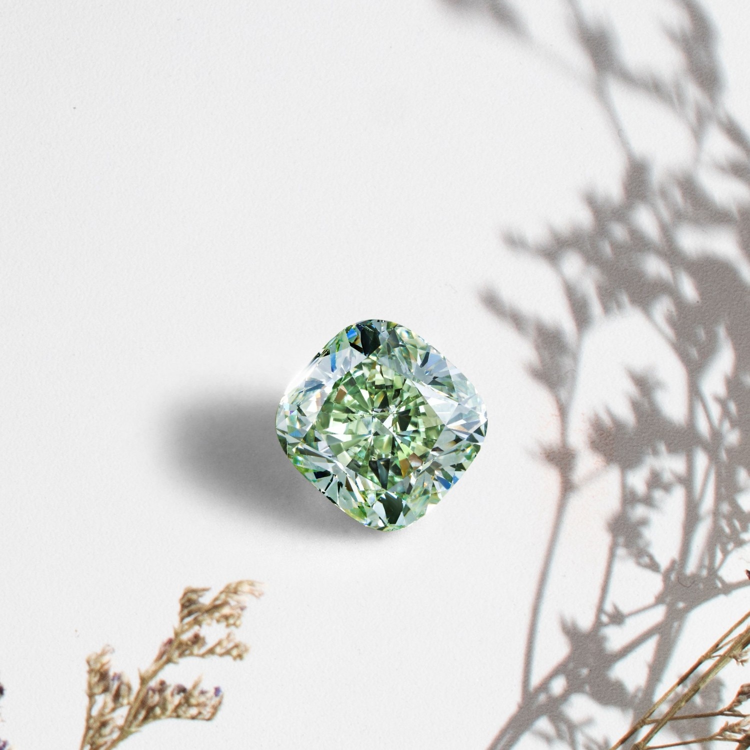Pierre de naissance d’août : le péridot, signification et idées de bijoux