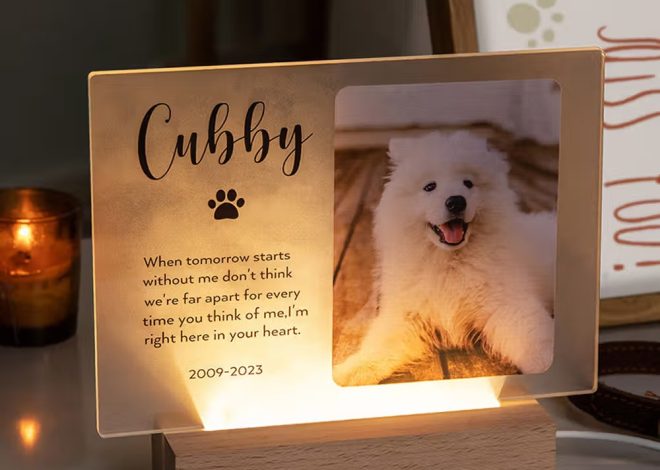 Une plaque commémorative personnalisée pour animal, un hommage lumineux à garder près de soi