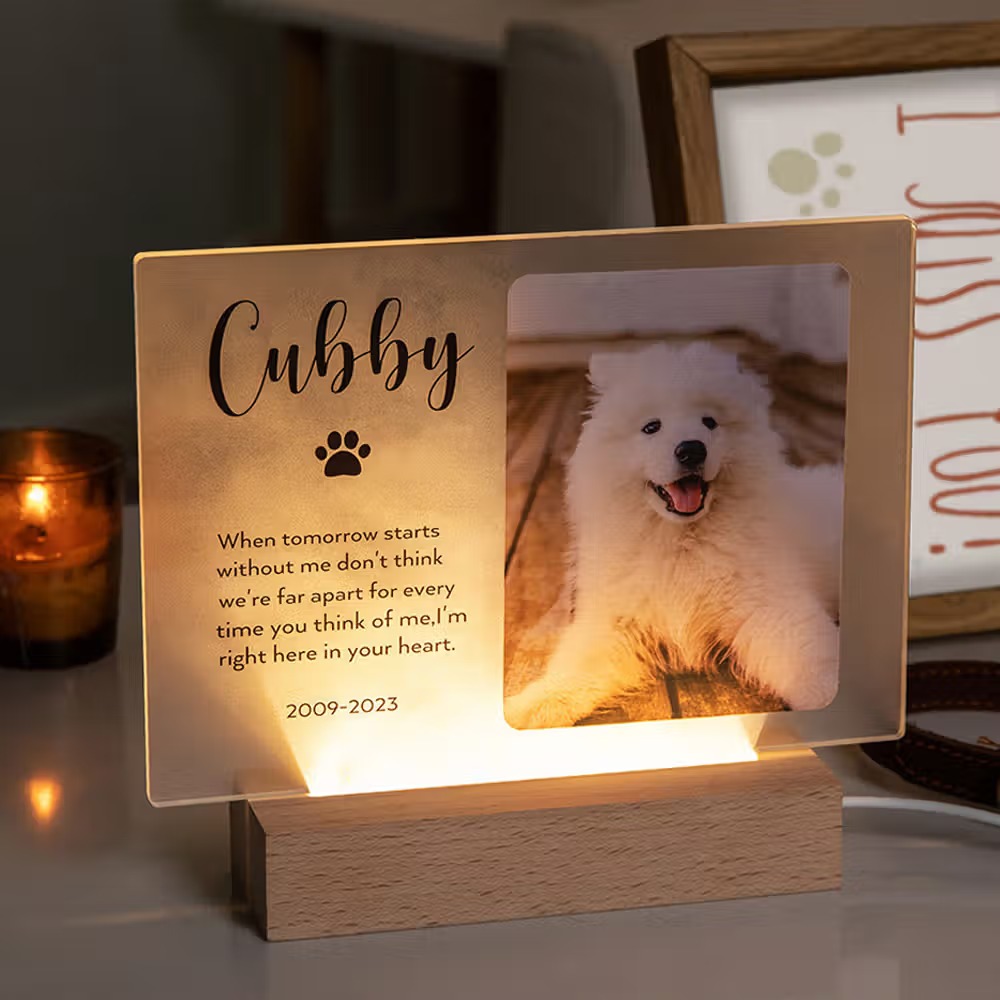 Une plaque commémorative personnalisée pour animal, un hommage lumineux à garder près de soi