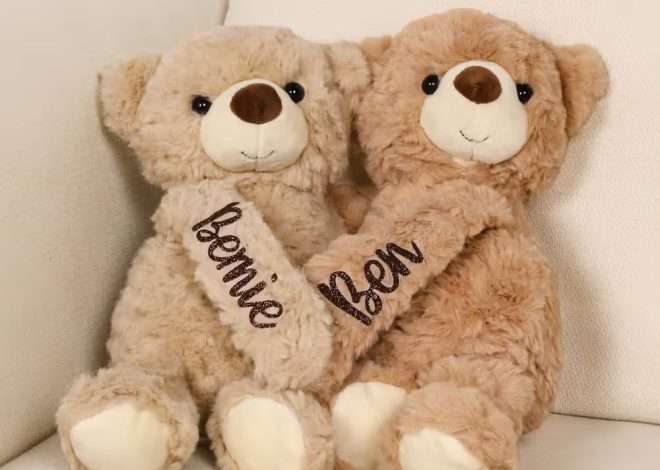 Ours en peluche parfumés personnalisés : le duo de câlins aromatique pour couple et amoureux