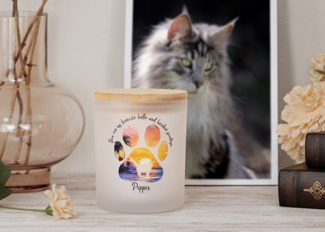 Bougie Commémorative Personnalisée pour Chat : Un Hommage Lumineux et Réconfortant