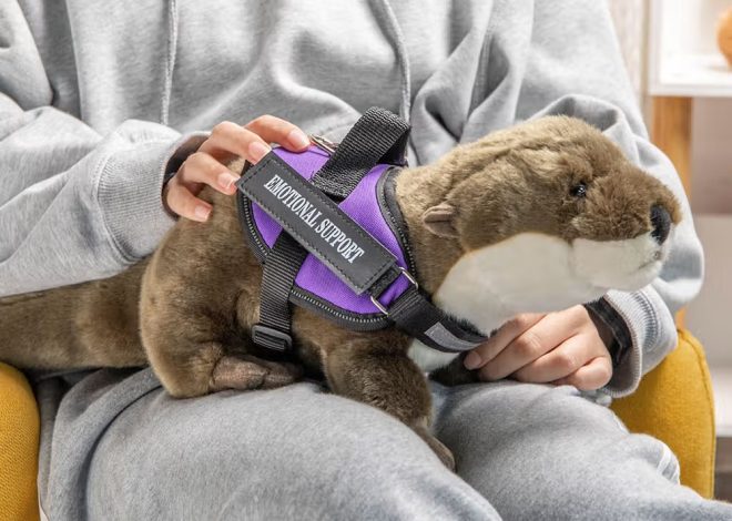 Peluche Loutre de Soutien Émotionnel Personnalisée : Le Compagnon Anti-Stress Idéal