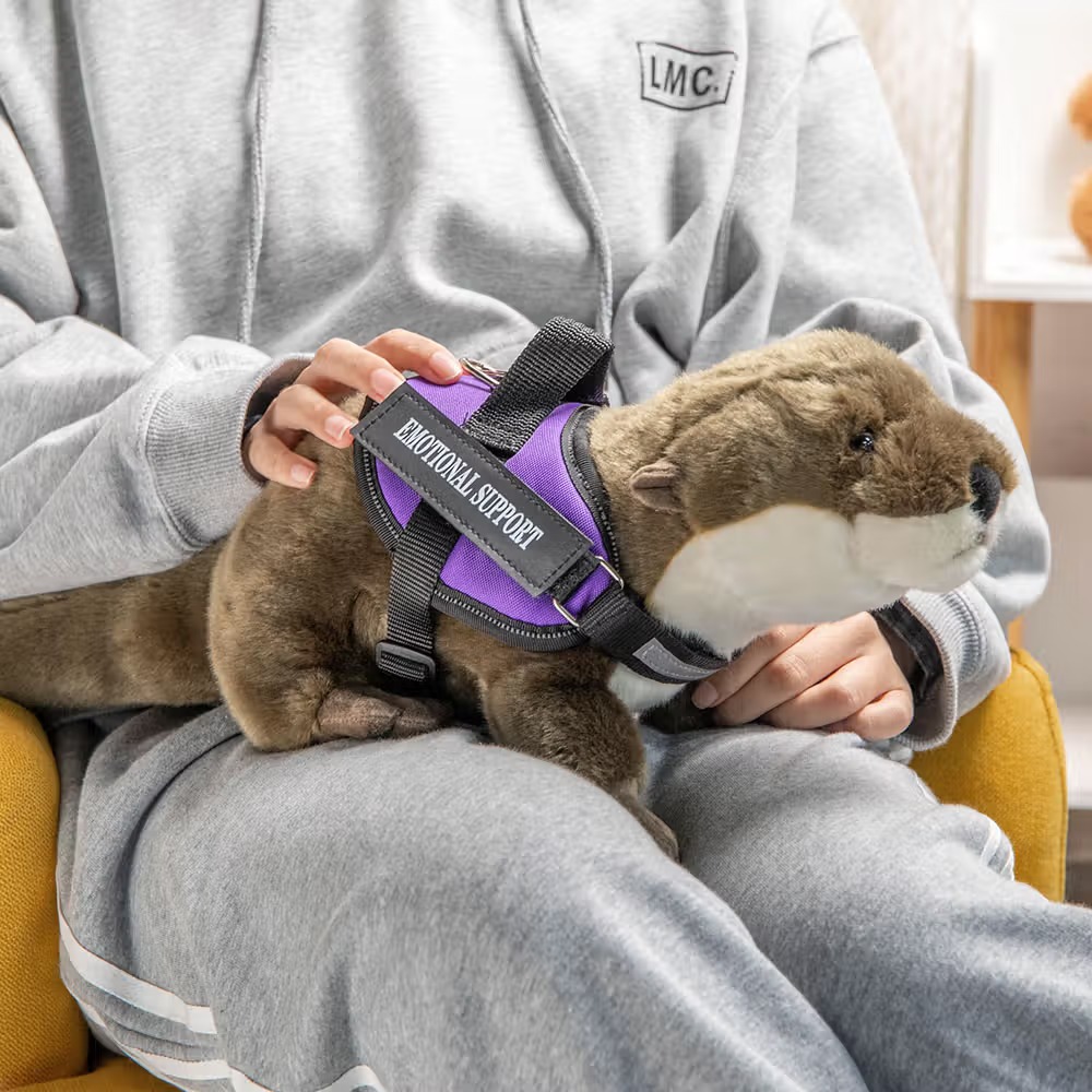 Peluche Loutre de Soutien Émotionnel Personnalisée : Le Compagnon Anti-Stress Idéal